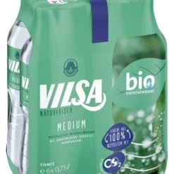 Vilsa Naturfrisch Mineralwasser Medium (Einweg)