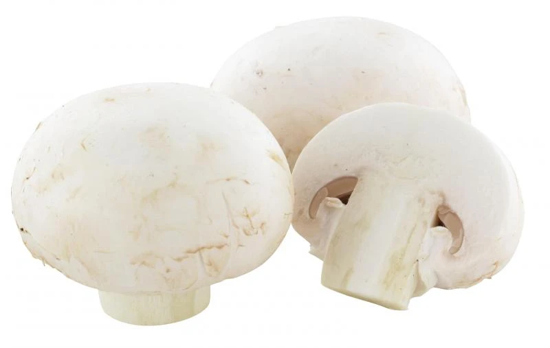 Goldmarie Weiße Champignons Mittel 4 Goldmarie Weiße Champignons Mittel – Bild 2