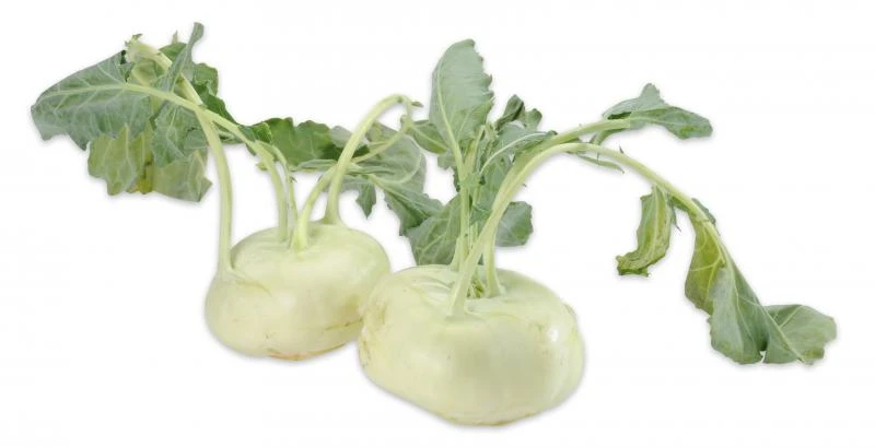 Kohlrabi 4 Kohlrabi – Bild 2
