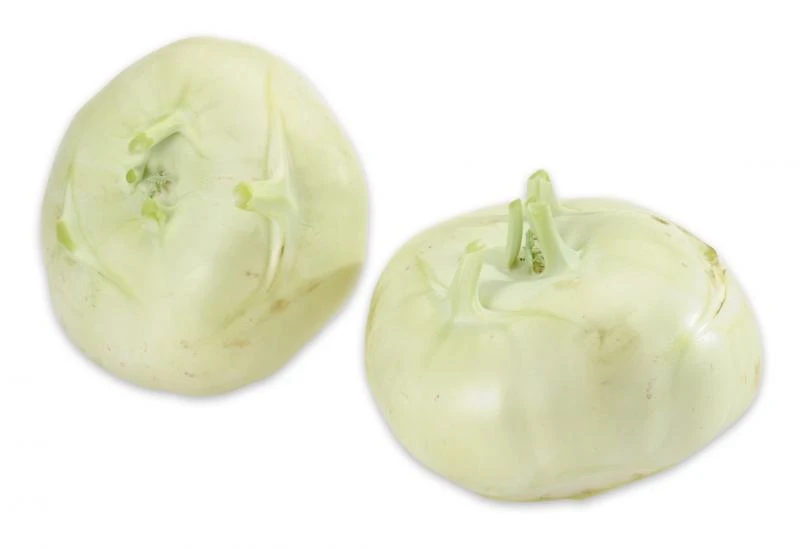 Kohlrabi 5 Kohlrabi – Bild 3