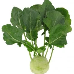 Kohlrabi