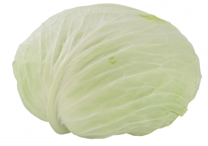 Weißkohl 3 Weißkohl