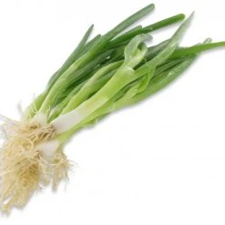 Lauchzwiebeln Im Bund