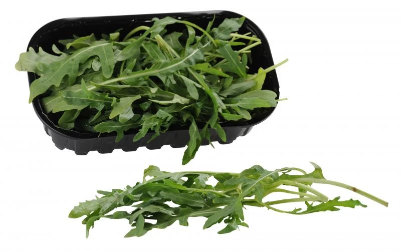 Rucola /Rauke 3 Rucola /Rauke