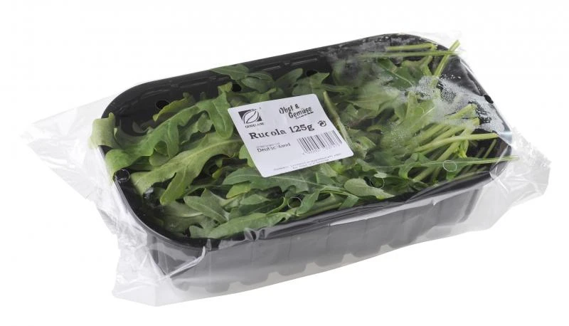 Rucola /Rauke 4 Rucola /Rauke – Bild 2