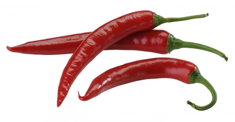 Chillies Red 4 Chillies Red – Bild 2
