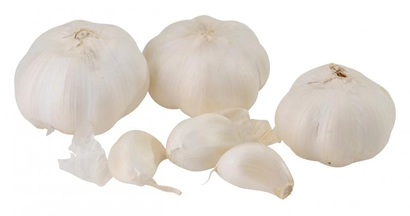 Knoblauch 3 Knoblauch
