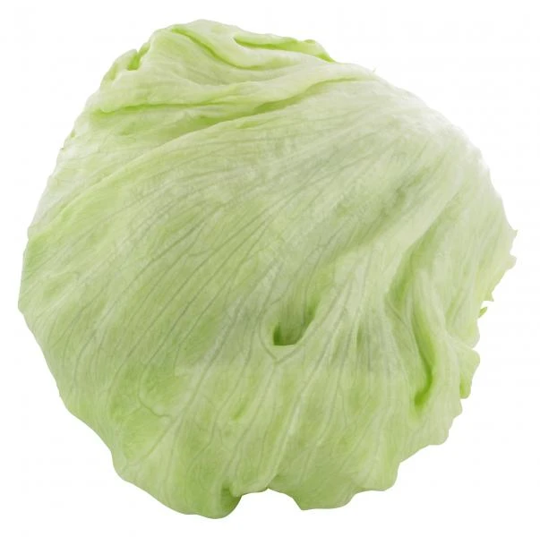 Eisbergsalat 3 Eisbergsalat