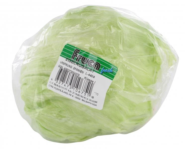 Eisbergsalat 4 Eisbergsalat – Bild 2