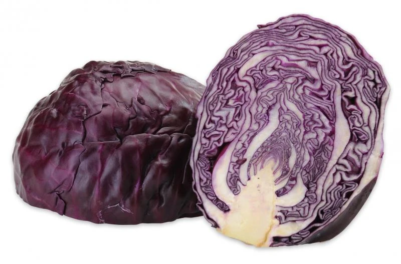 Rotkohl 4 Rotkohl – Bild 2
