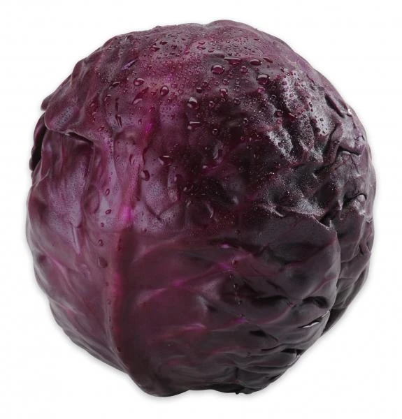 Rotkohl 5 Rotkohl – Bild 3