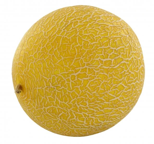 Galia Melone 3 Galia Melone