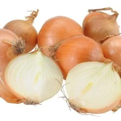 Bio Zwiebeln Im Netz