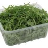 NaturWert Bio Bio Rucola Salat -Bonne Maman shop 4507010161 2099990670544 01.jpg