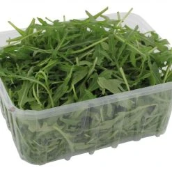 NaturWert Bio Bio Rucola Salat