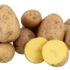 Küstengold Kartoffeln Gala/Soyara