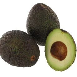 Avocado Hass Vorgereift